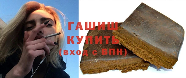 гидра Богородск