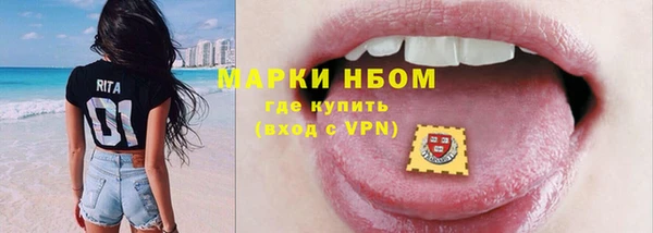 spice Богородицк