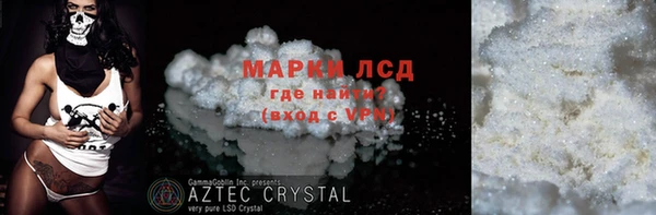 spice Богородицк