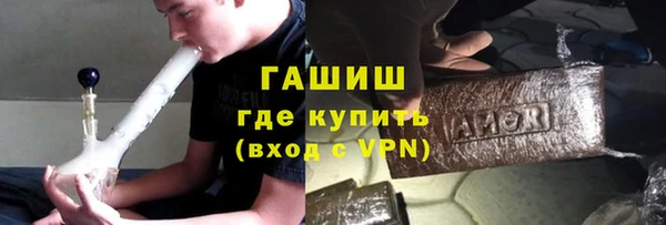 гидра Богородск