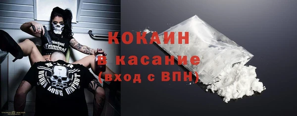 гидра Богородск