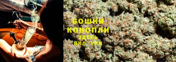 spice Богородицк
