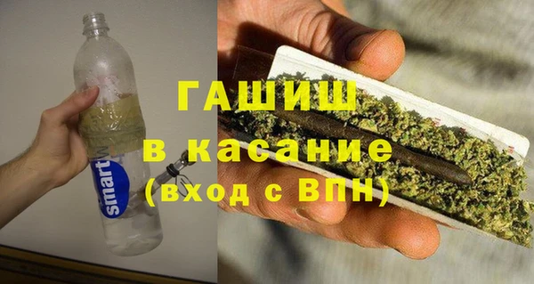 гидра Богородск