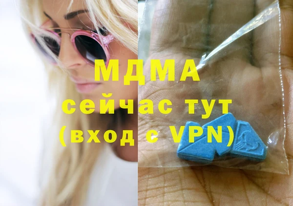 spice Богородицк