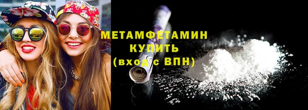 гидра Богородск