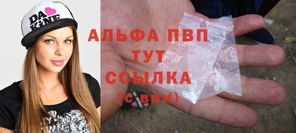 spice Богородицк