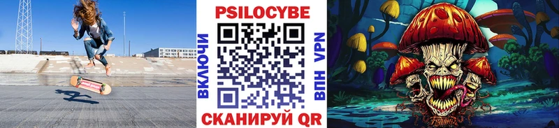 магазин Дрезна Псилоцибиновые грибы Magic Shrooms